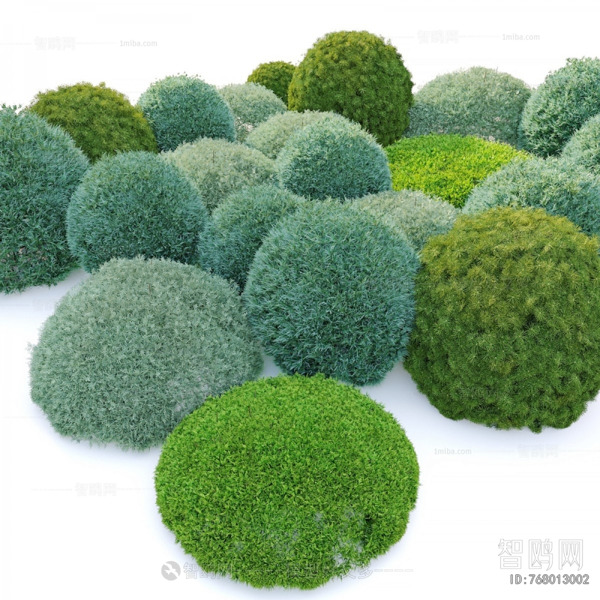 Modern Shrubbery
