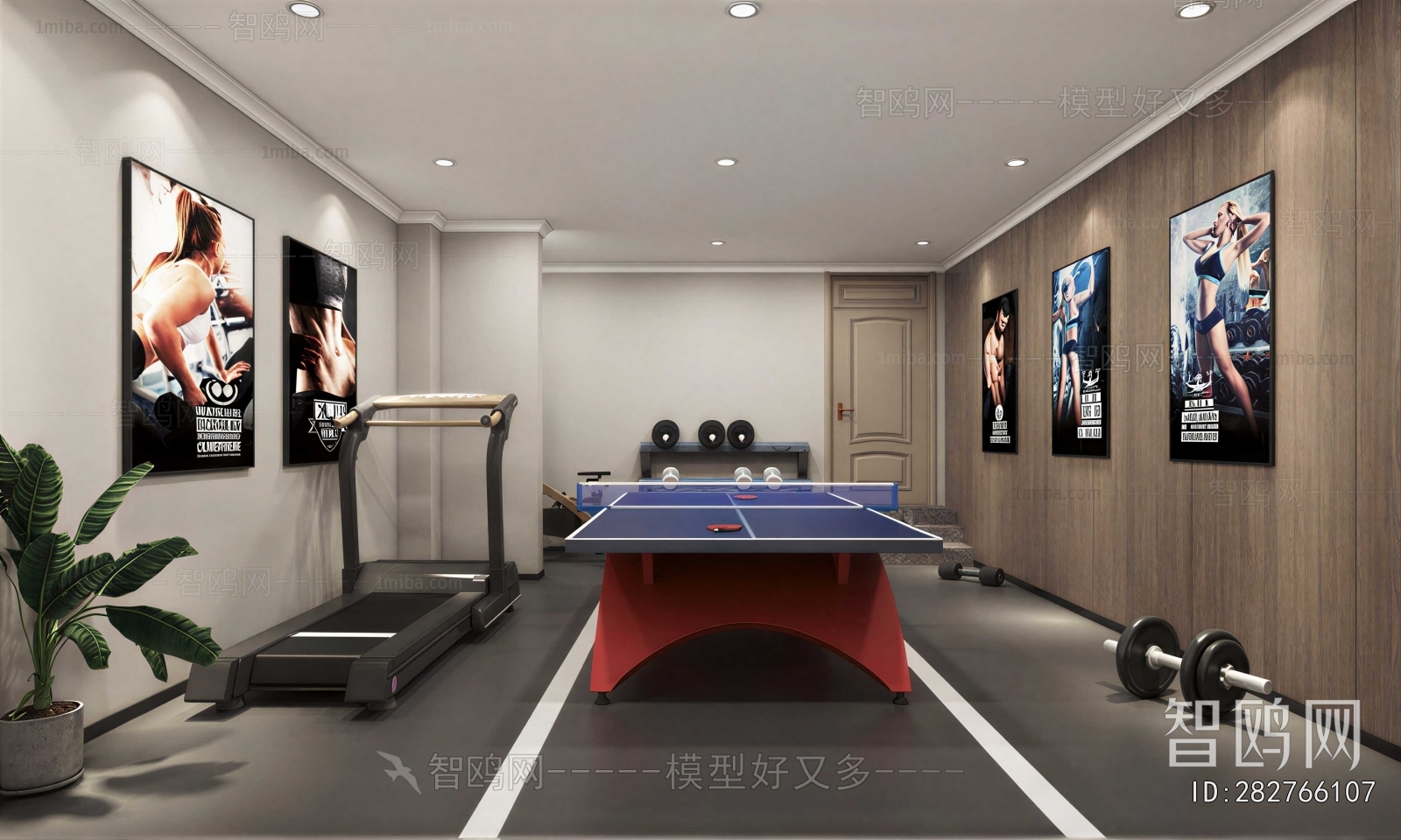 Modern Home Fitness Room