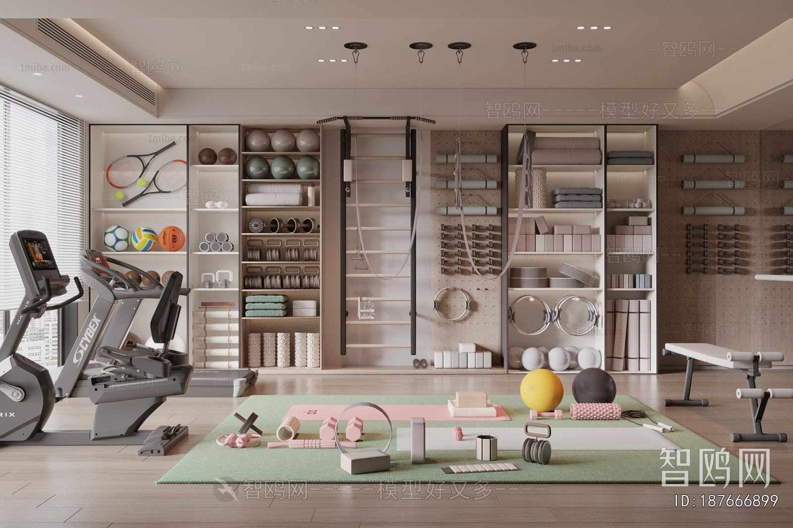 Modern Home Fitness Room