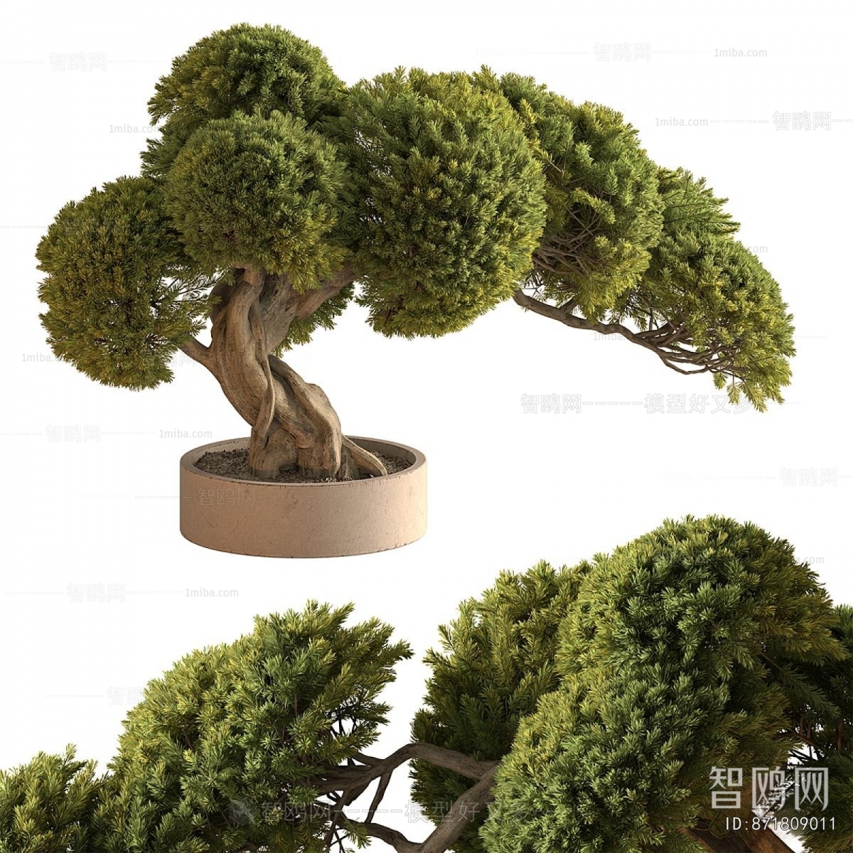 New Chinese Style Bonsai