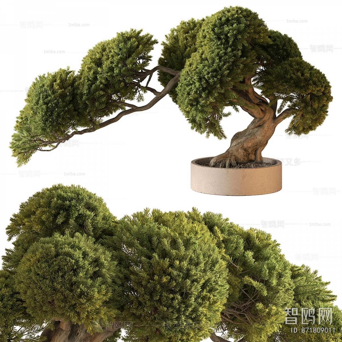 New Chinese Style Bonsai