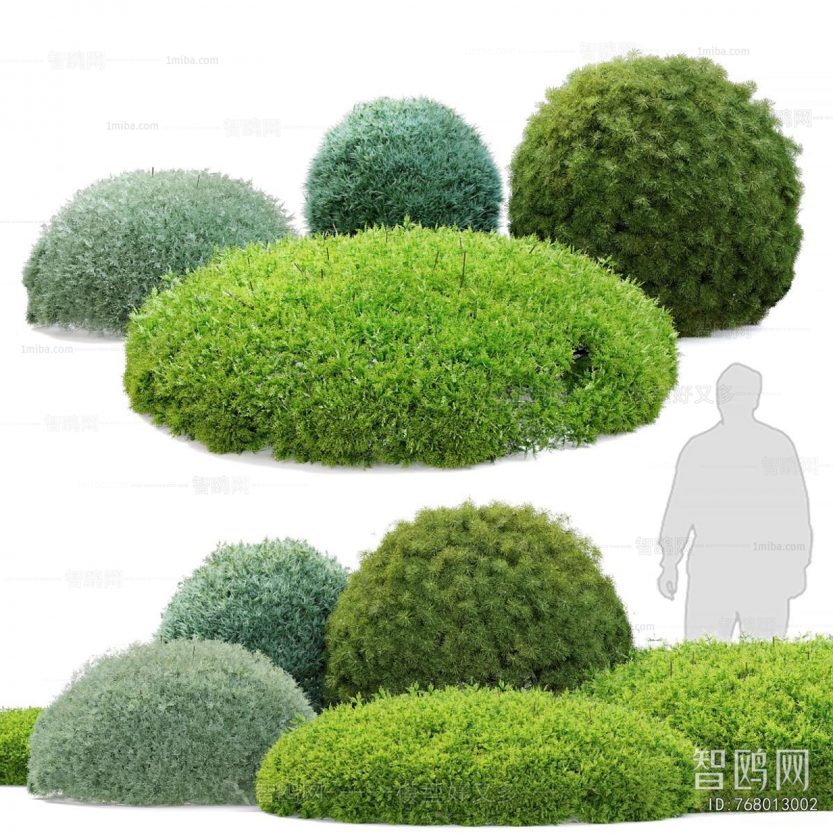 Modern Shrubbery