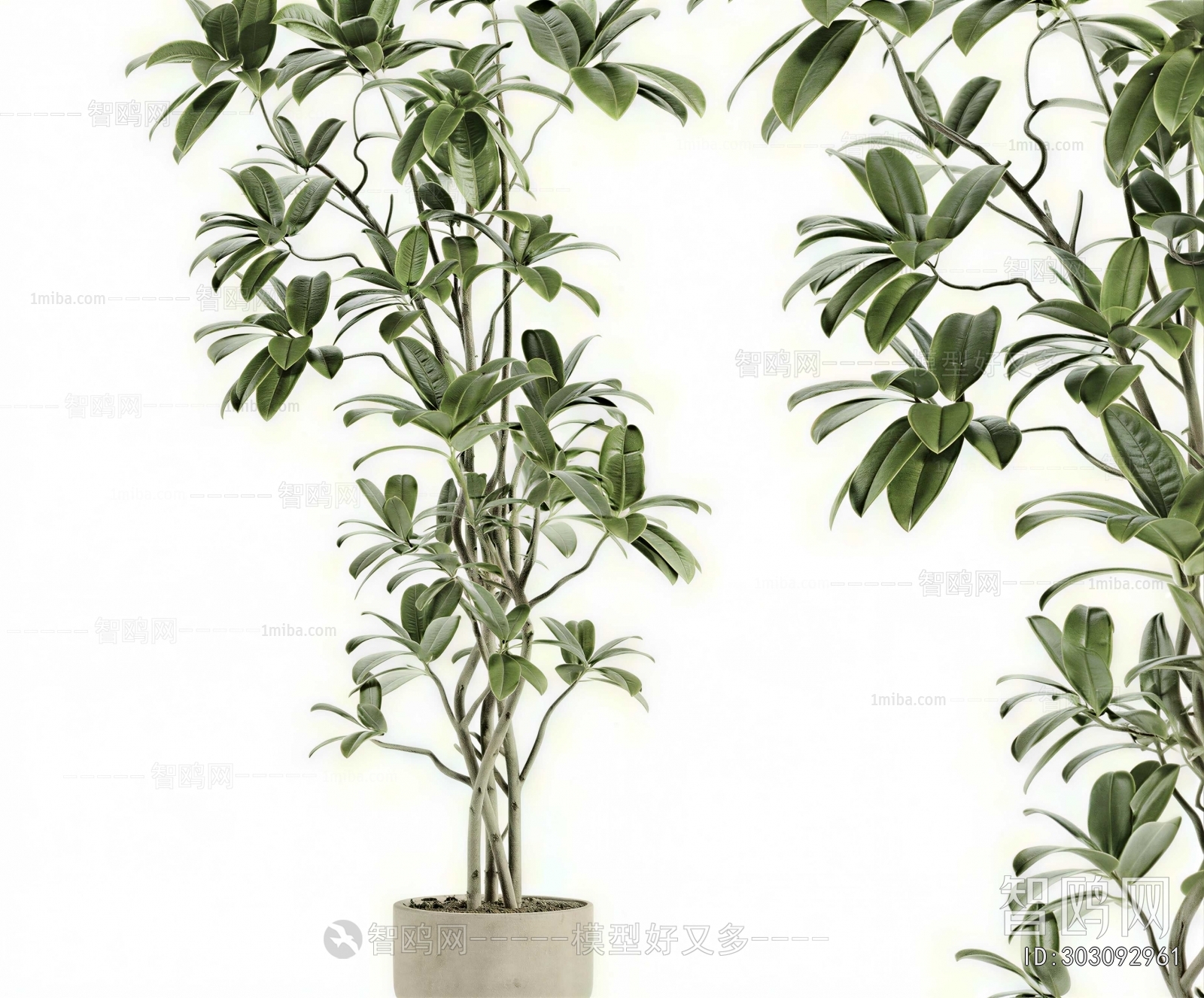 Modern Ground Green Plant Potted Plants