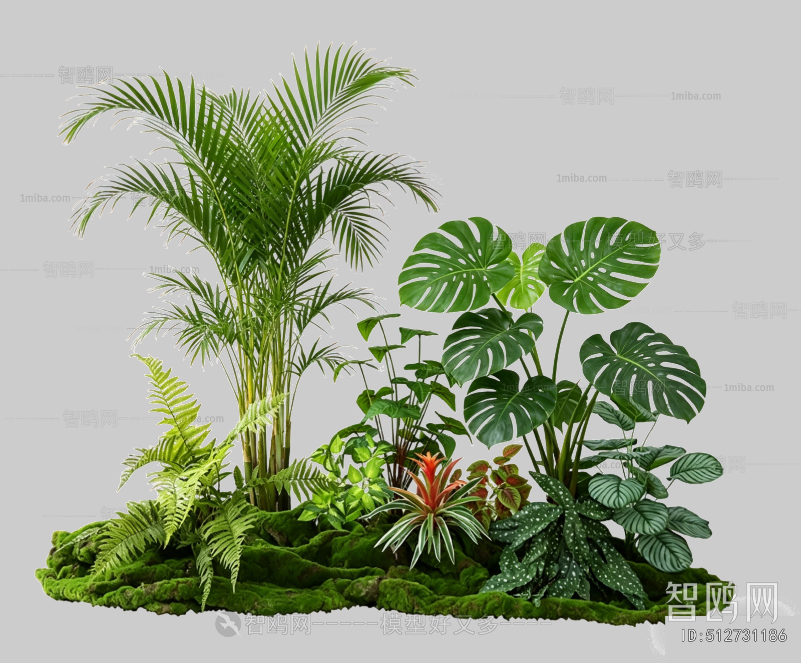 Plant Leaves