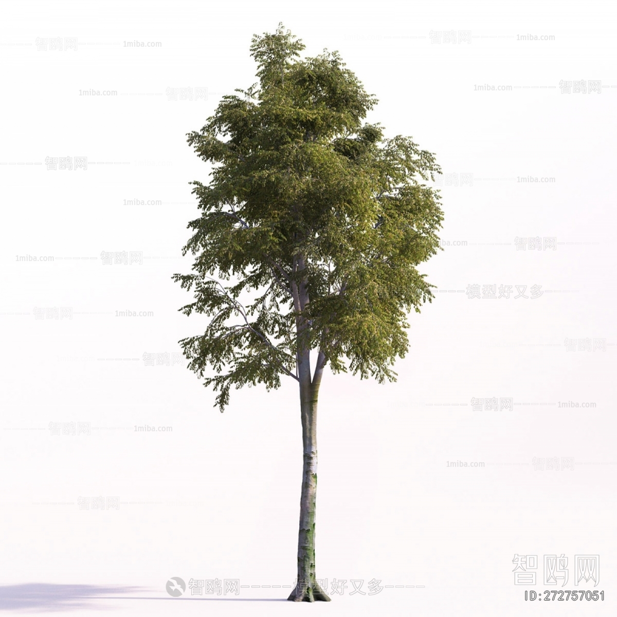 Modern Tree