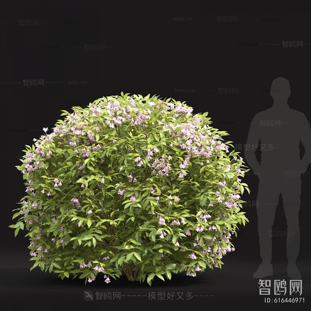 Modern Shrubbery