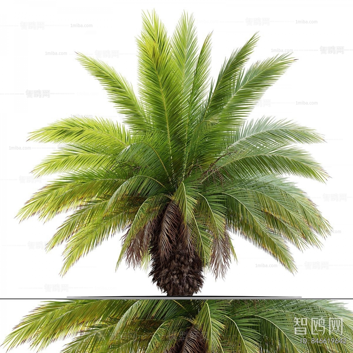 Modern Tree