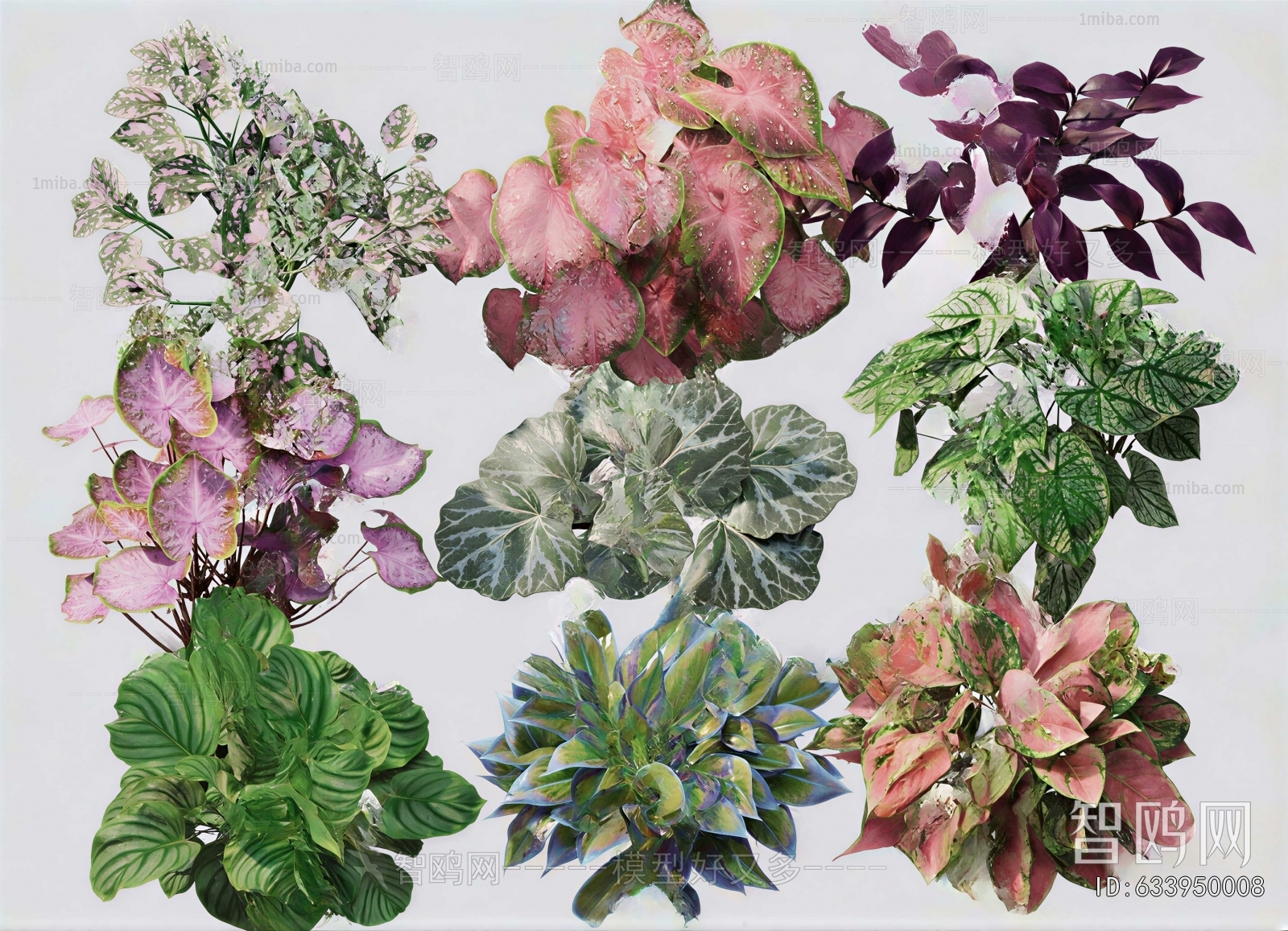 Modern Flowers And Grass