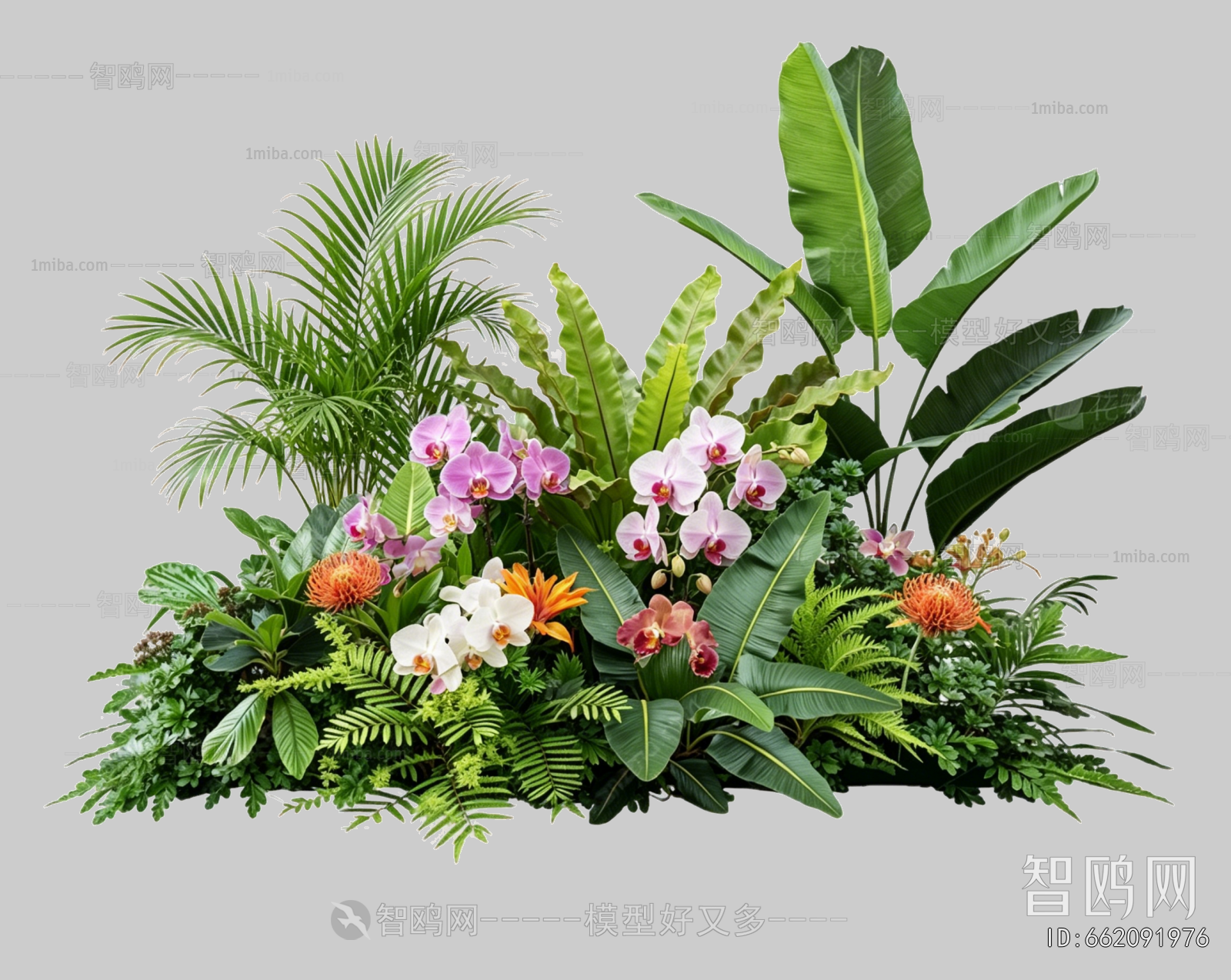 Plant Leaves