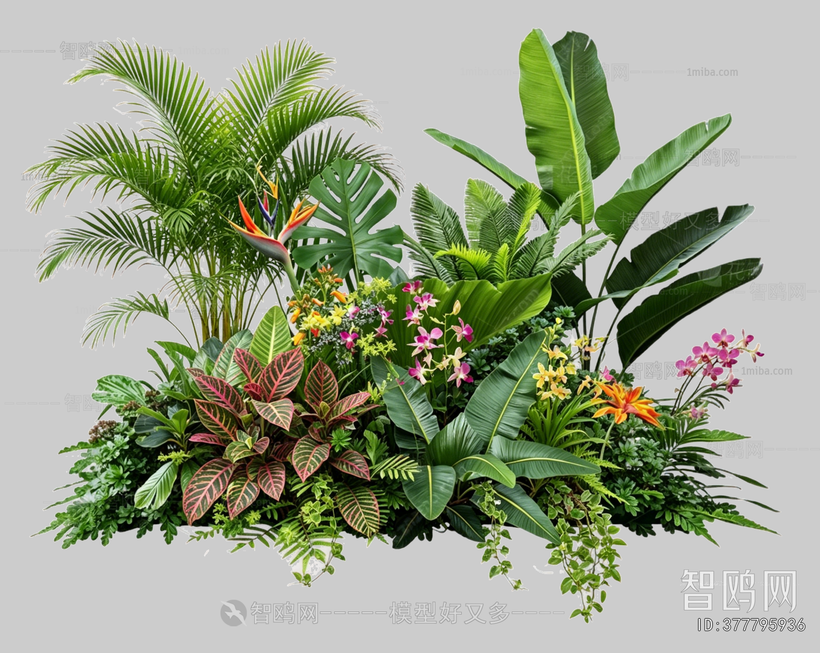 Plant Leaves