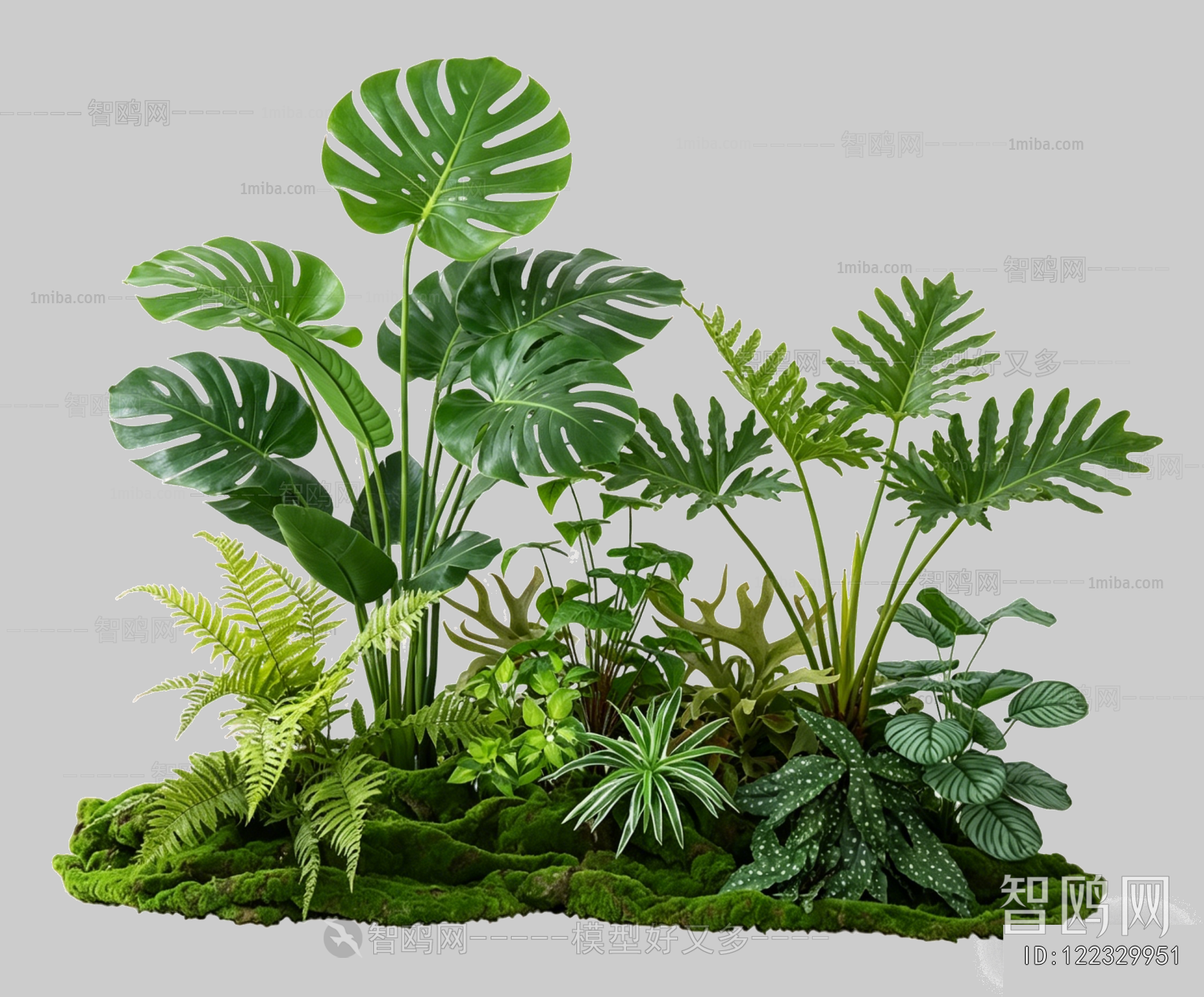 Plant Leaves
