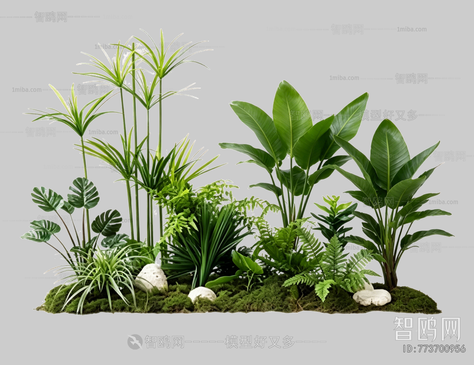 Plant Leaves