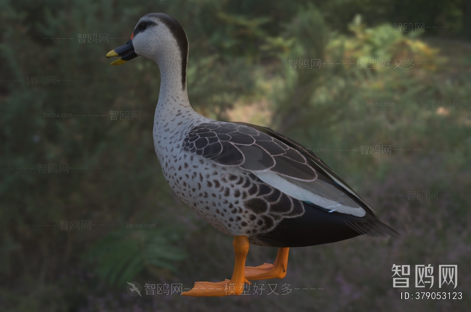 Modern Poultry Animal