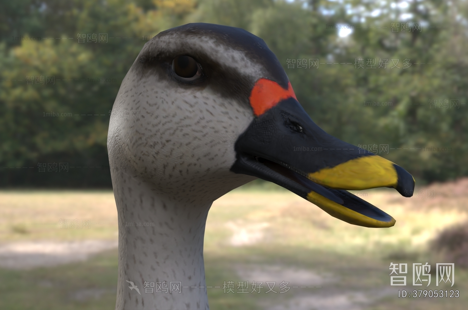 Modern Poultry Animal
