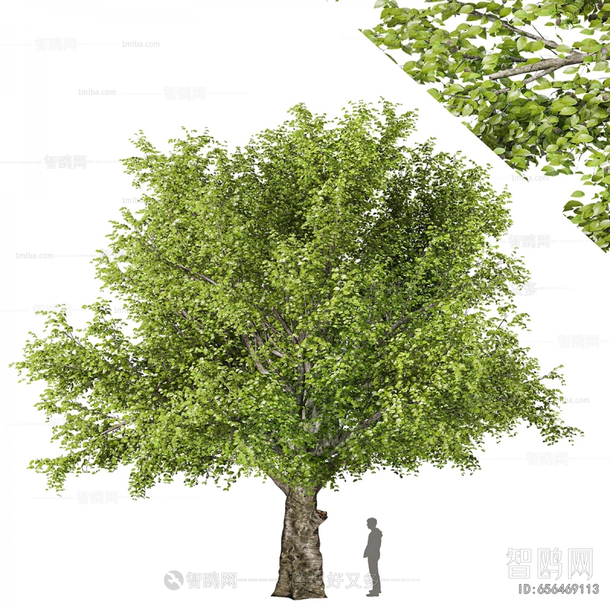 Modern Tree