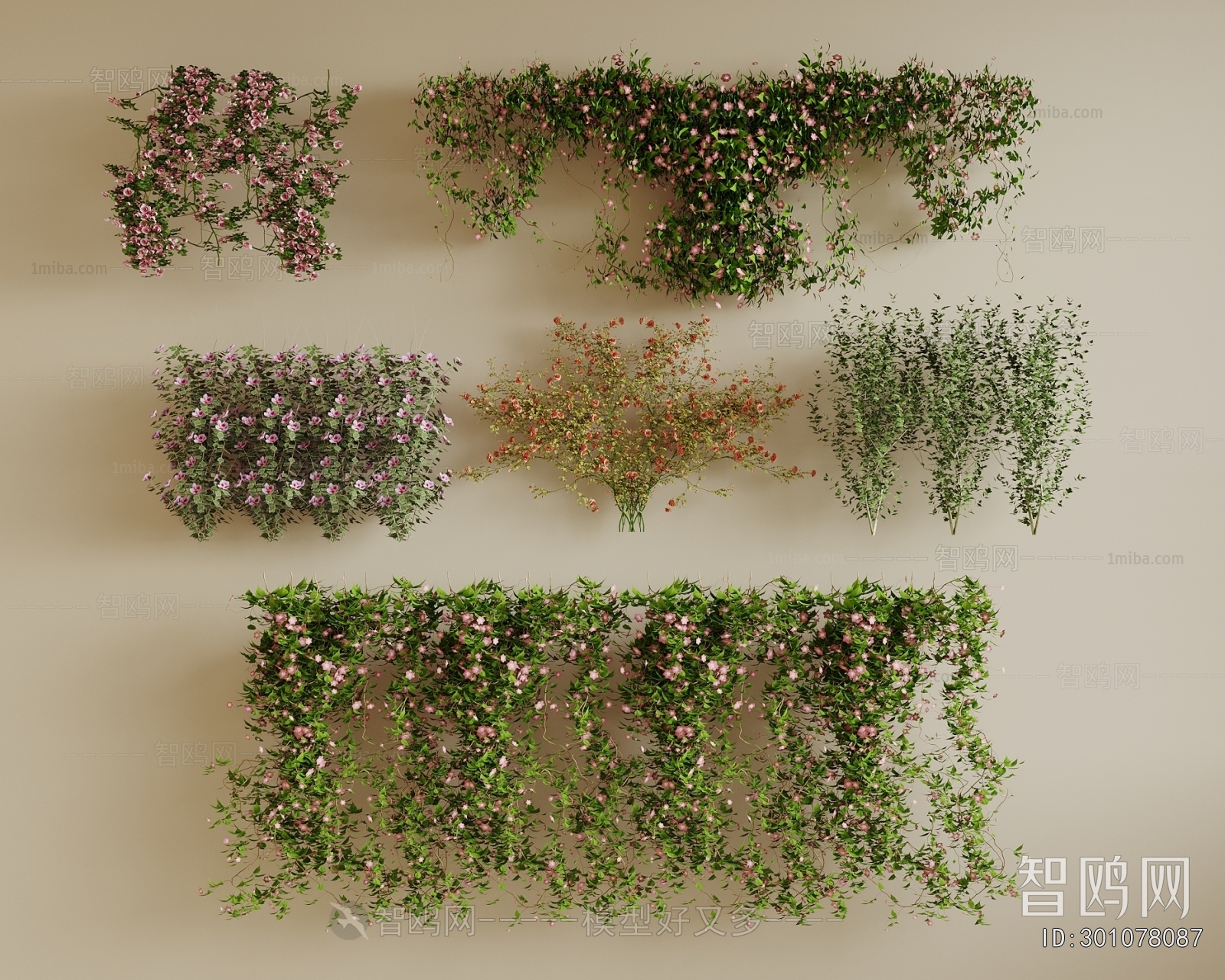 Modern Vine