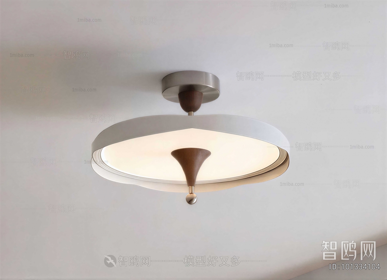 Modern Ceiling Ceiling Lamp