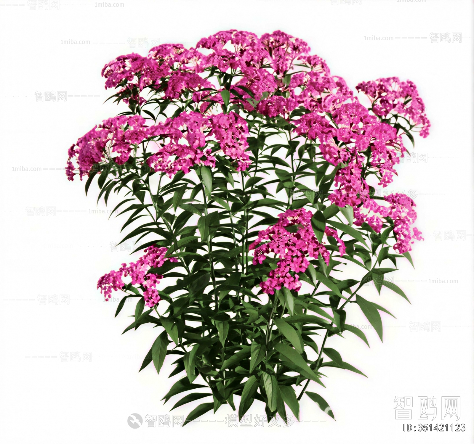 Modern Shrubbery