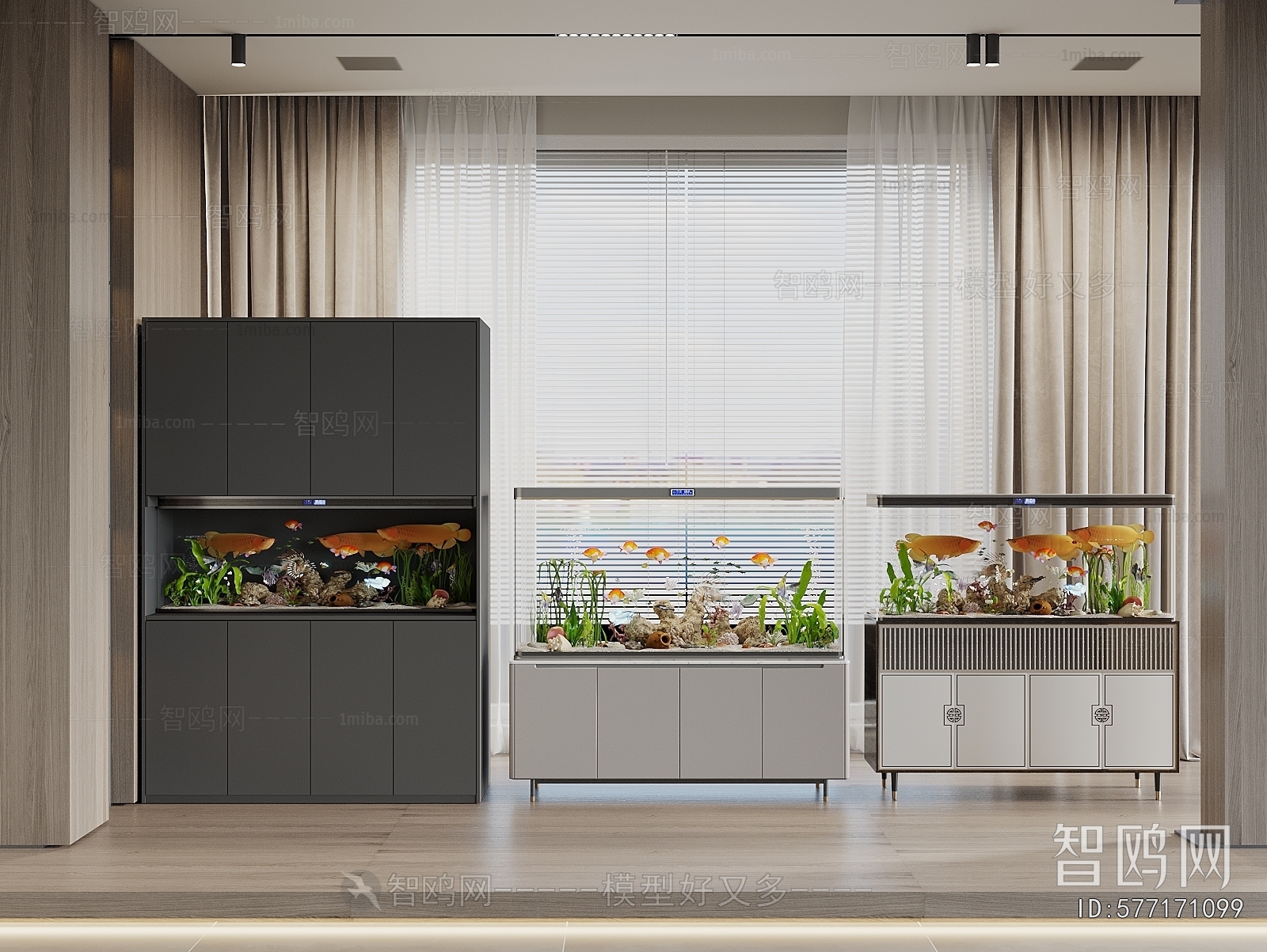 Modern Fish Tank