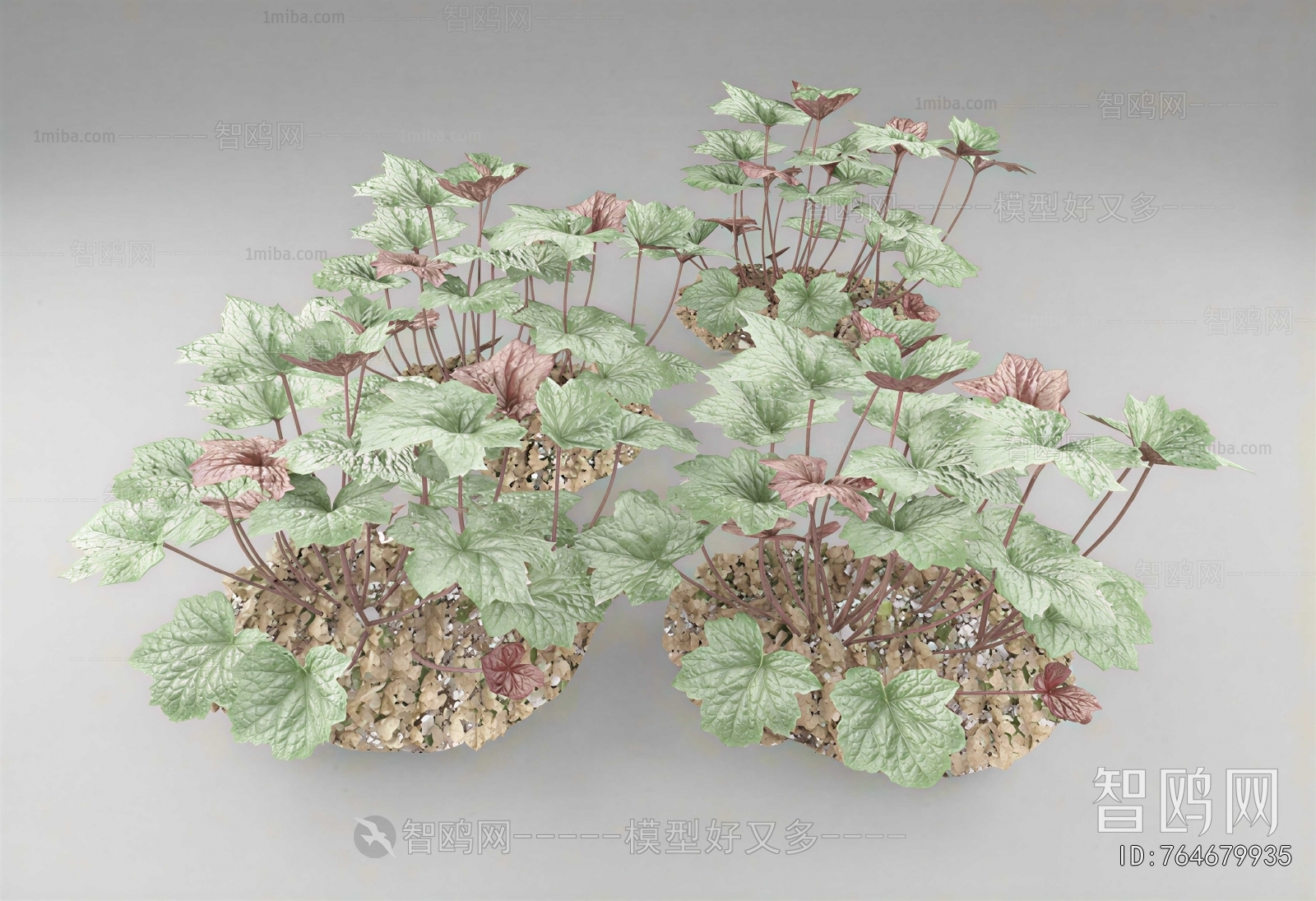 Modern Flowers And Grass