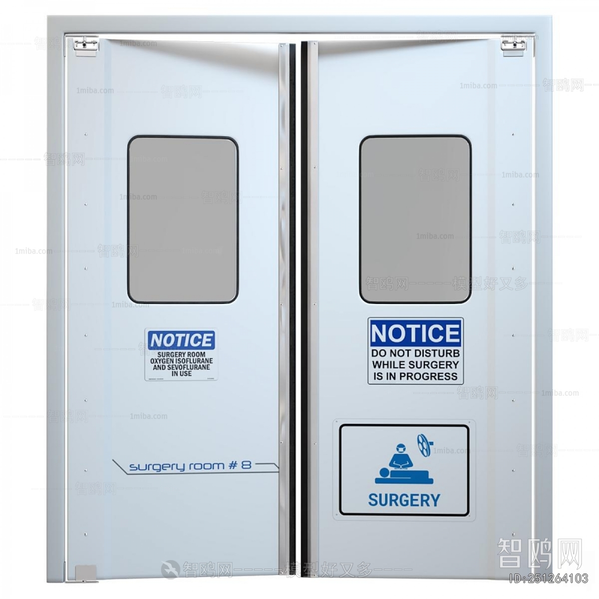 Modern Door