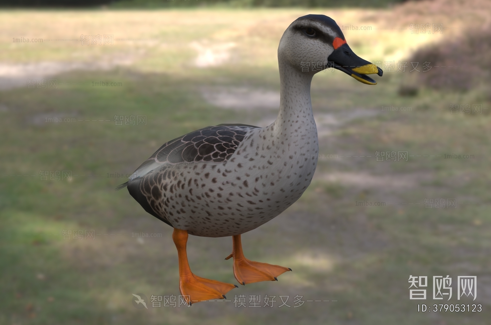 Modern Poultry Animal