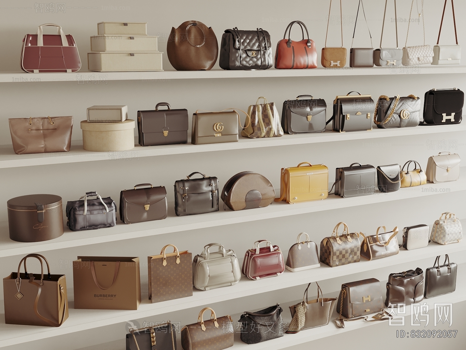Modern Lady's Bag