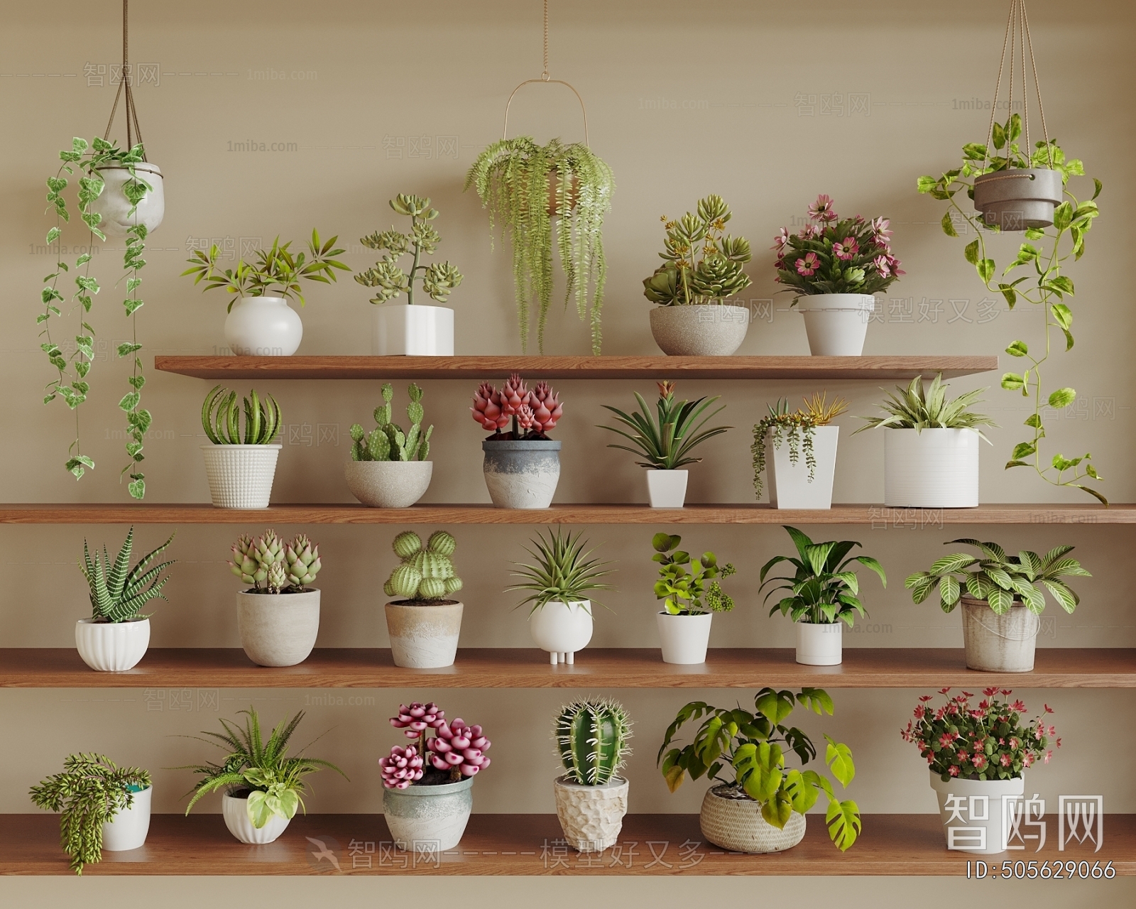 Modern Potted Green Plant