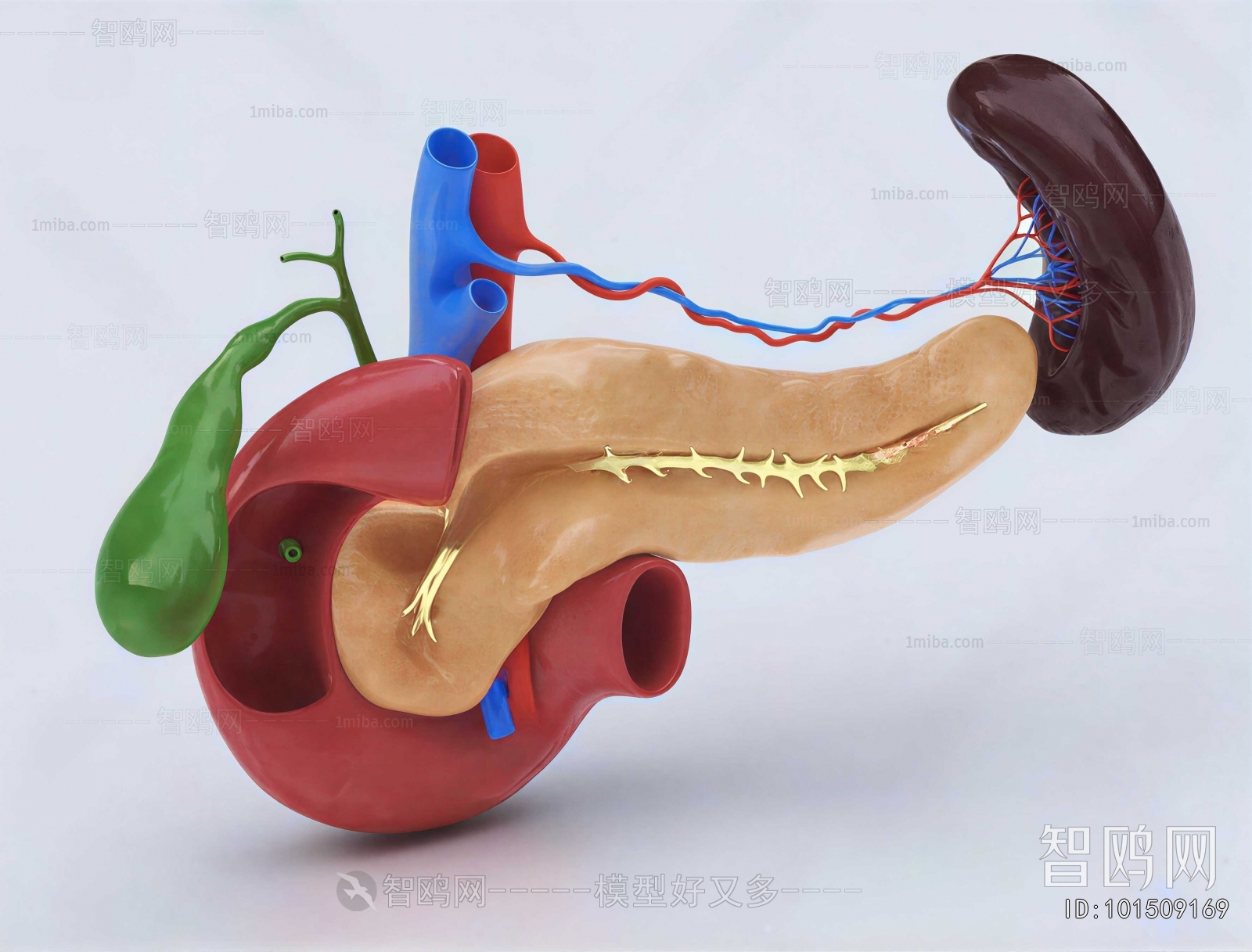 Modern Medical Equipment
