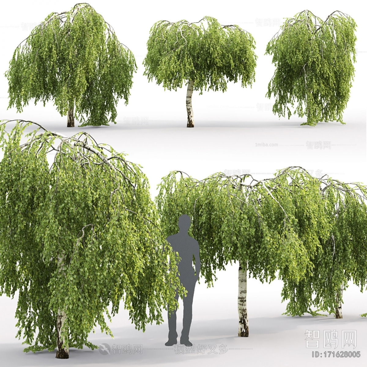 Modern Tree