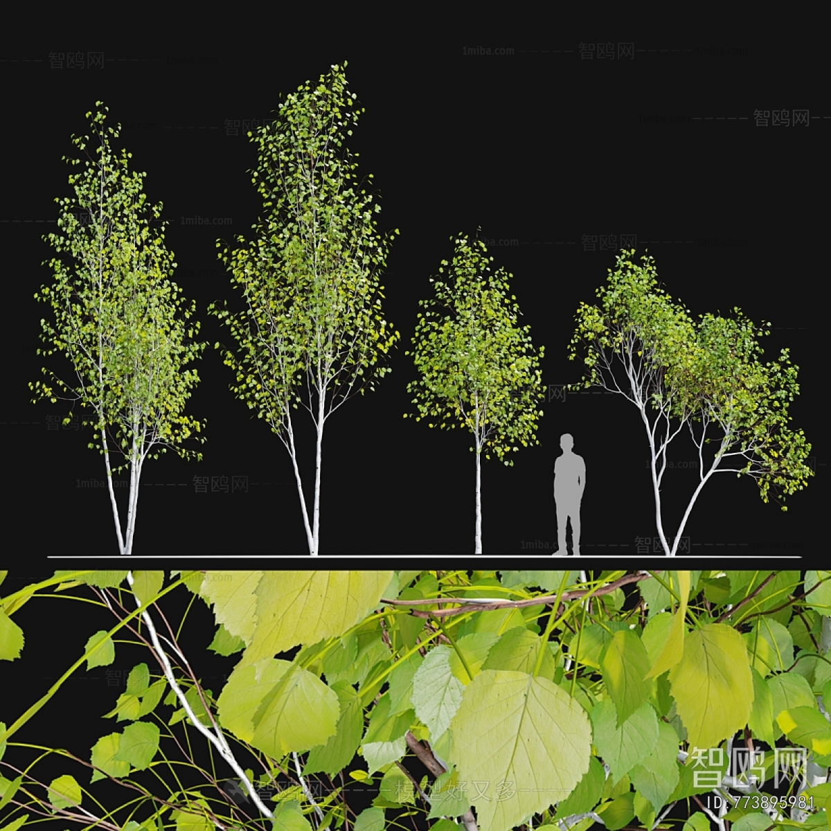Modern Tree