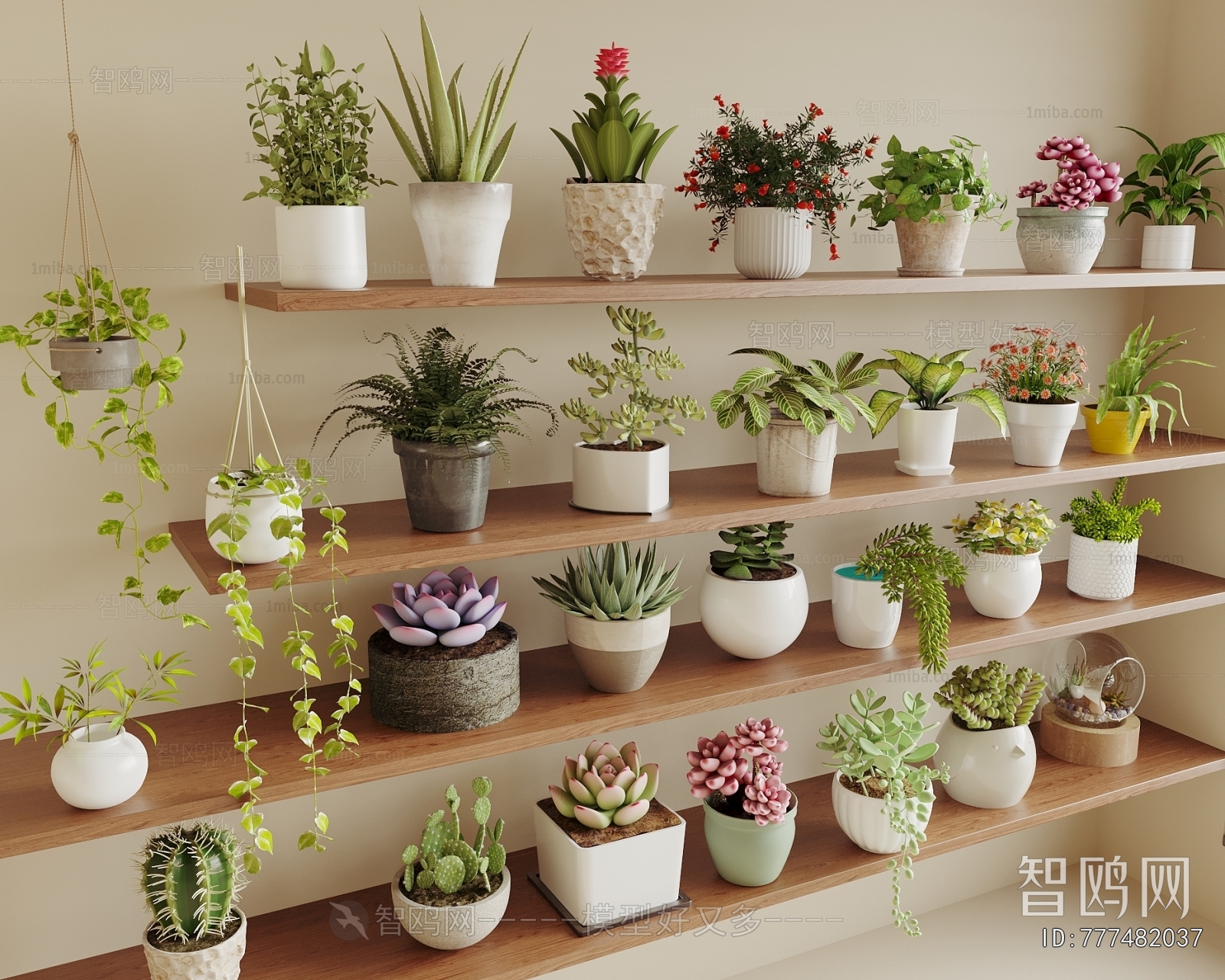 Modern Desktop Plant
