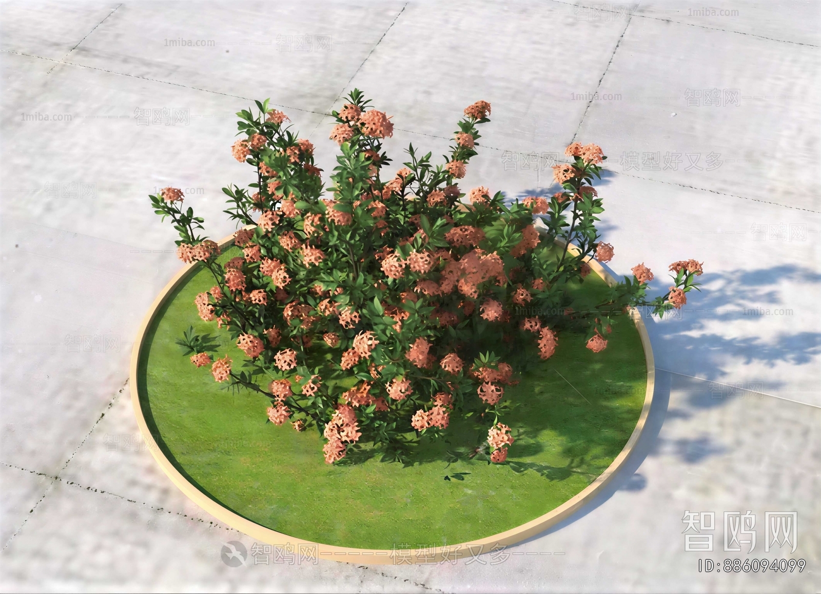 Modern Shrubbery