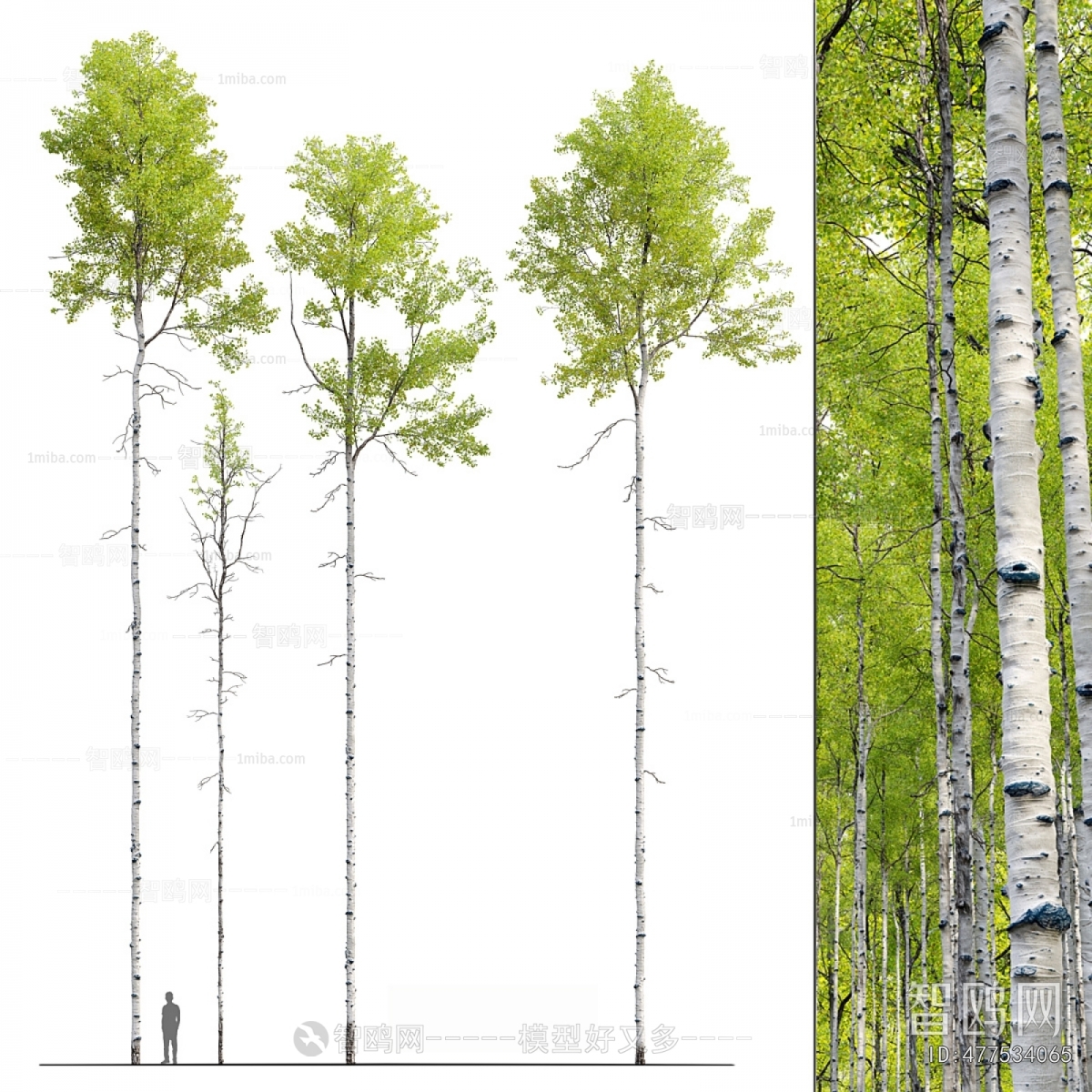 Modern Tree