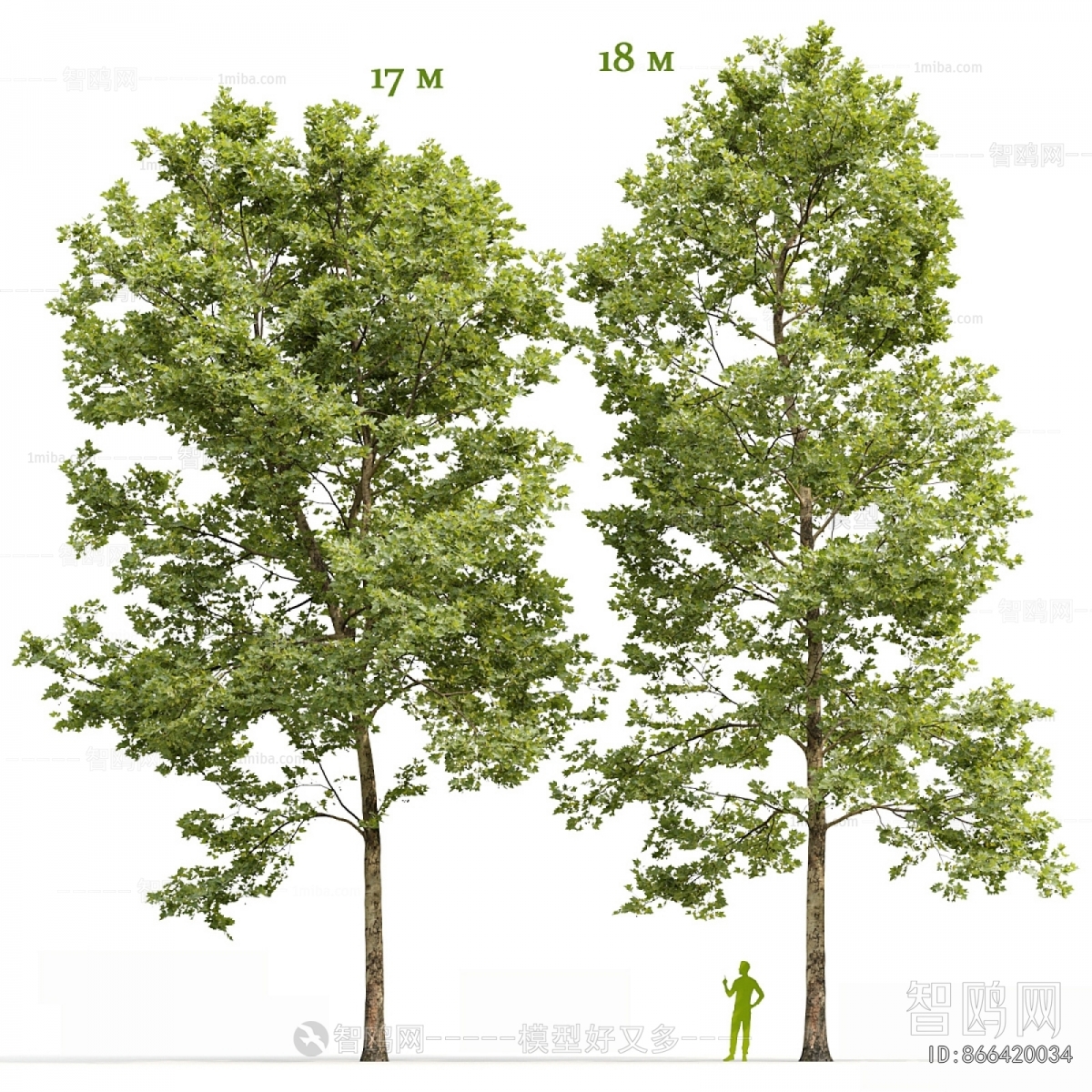 Modern Tree