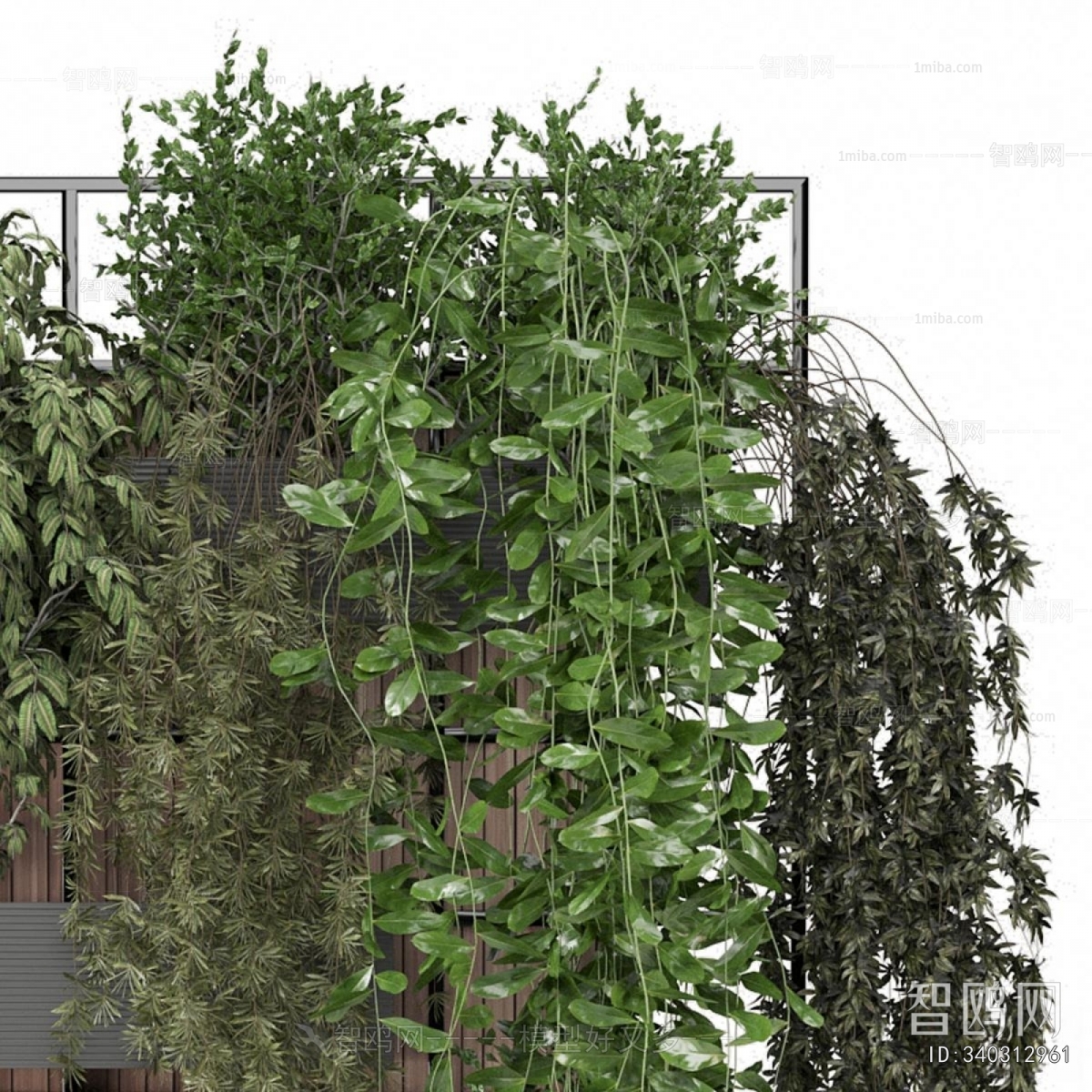 Modern Potted Green Plant