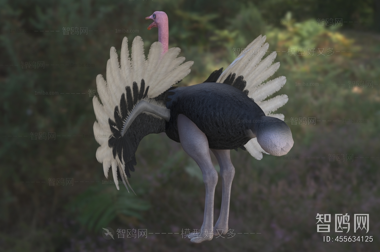 Modern Mammal