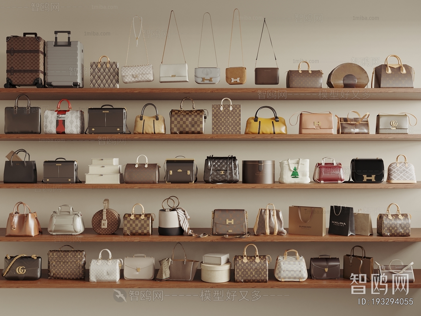 Modern Lady's Bag