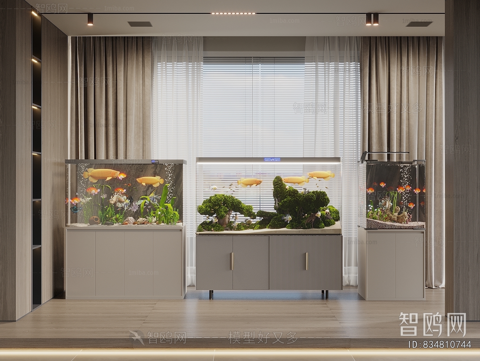 Modern Fish Tank