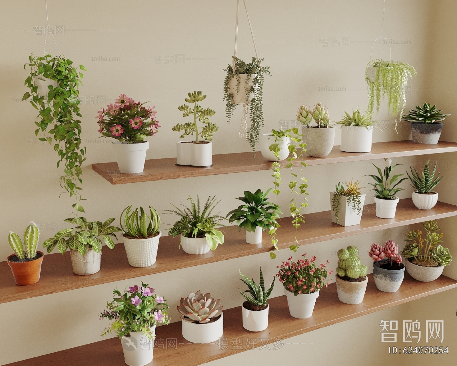 Modern Desktop Plant