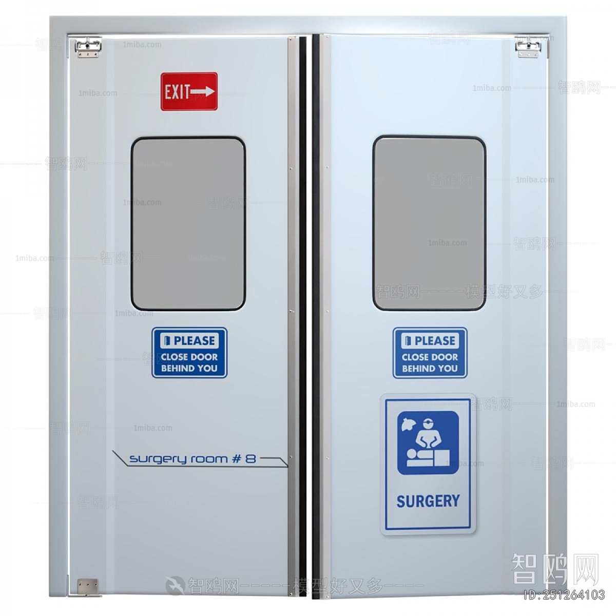 Modern Door