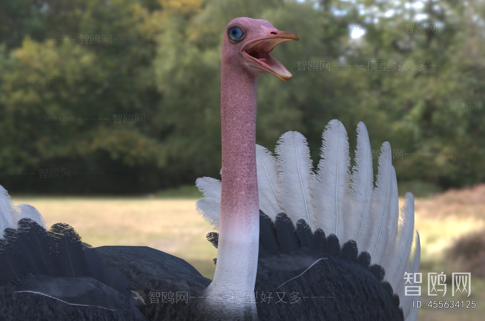 Modern Mammal