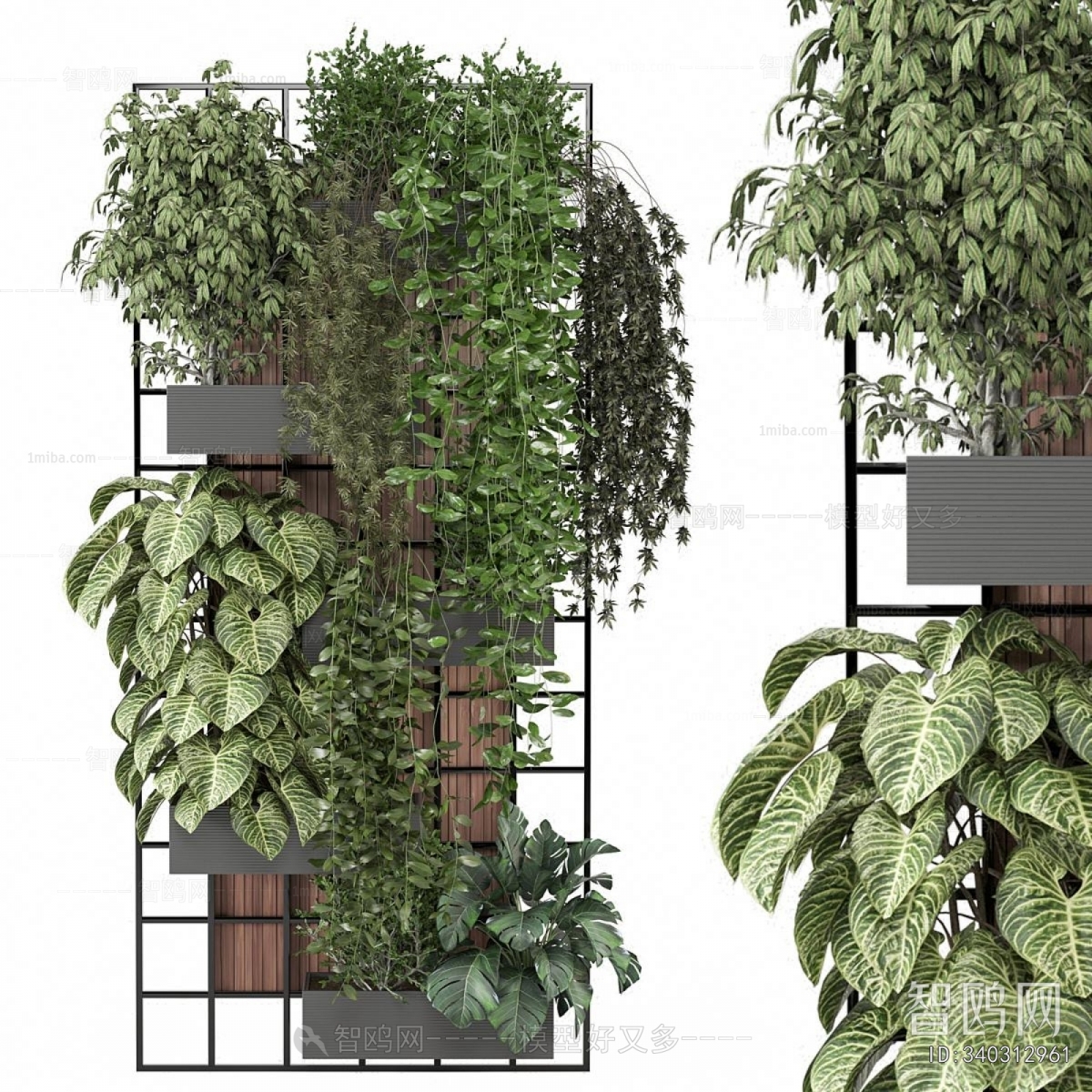 Modern Potted Green Plant