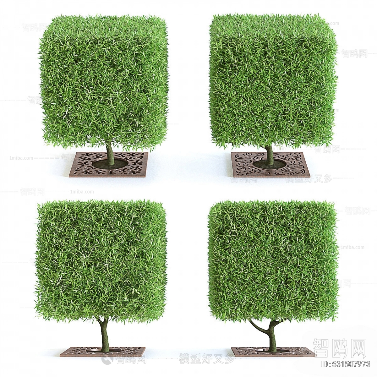 Modern Shrubbery