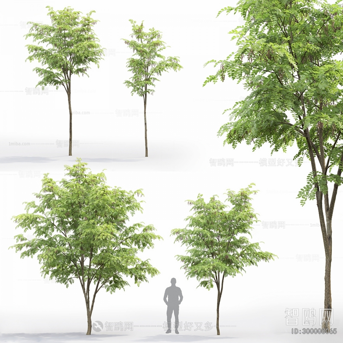 Modern Tree