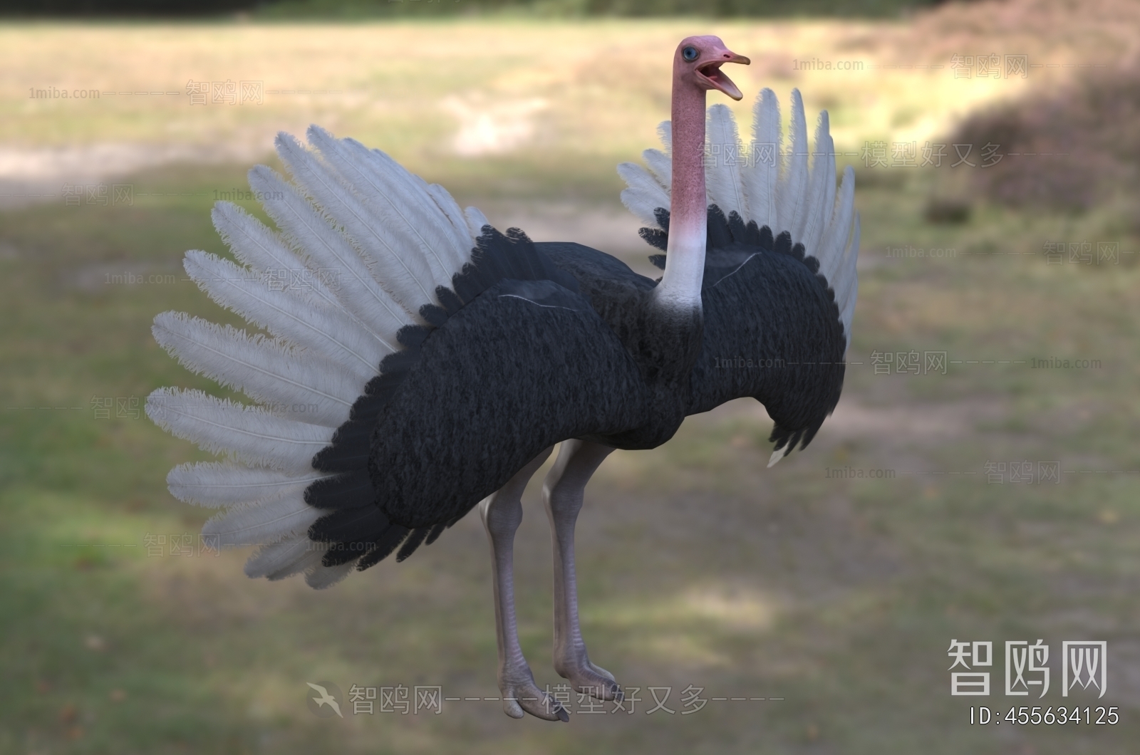 Modern Mammal