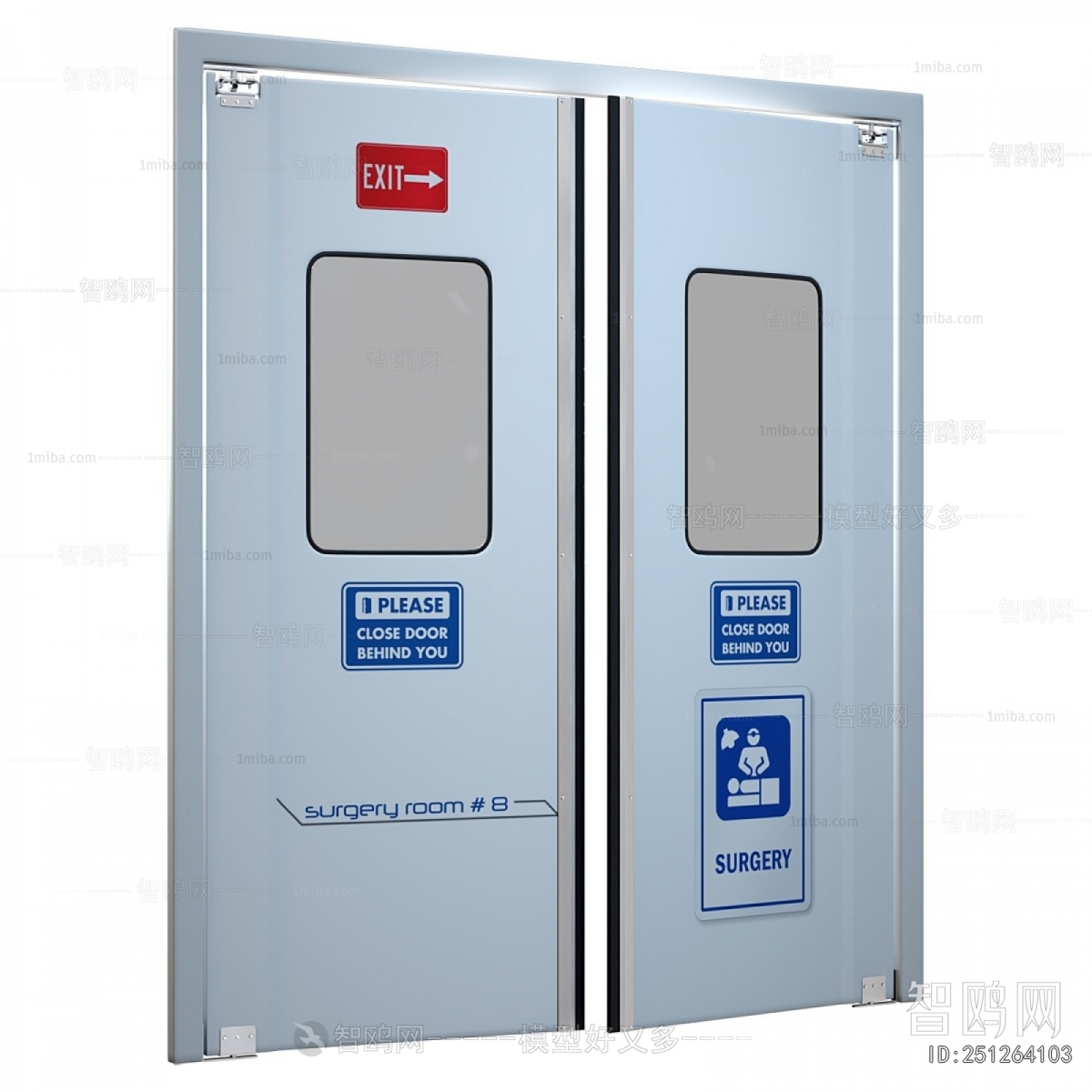 Modern Door