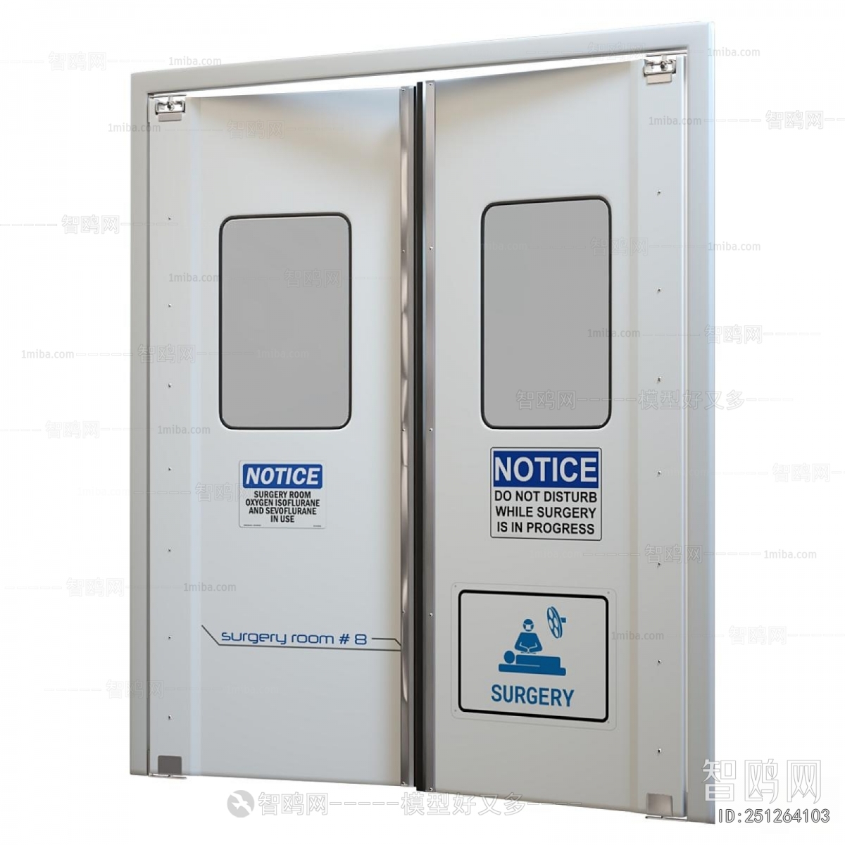 Modern Door