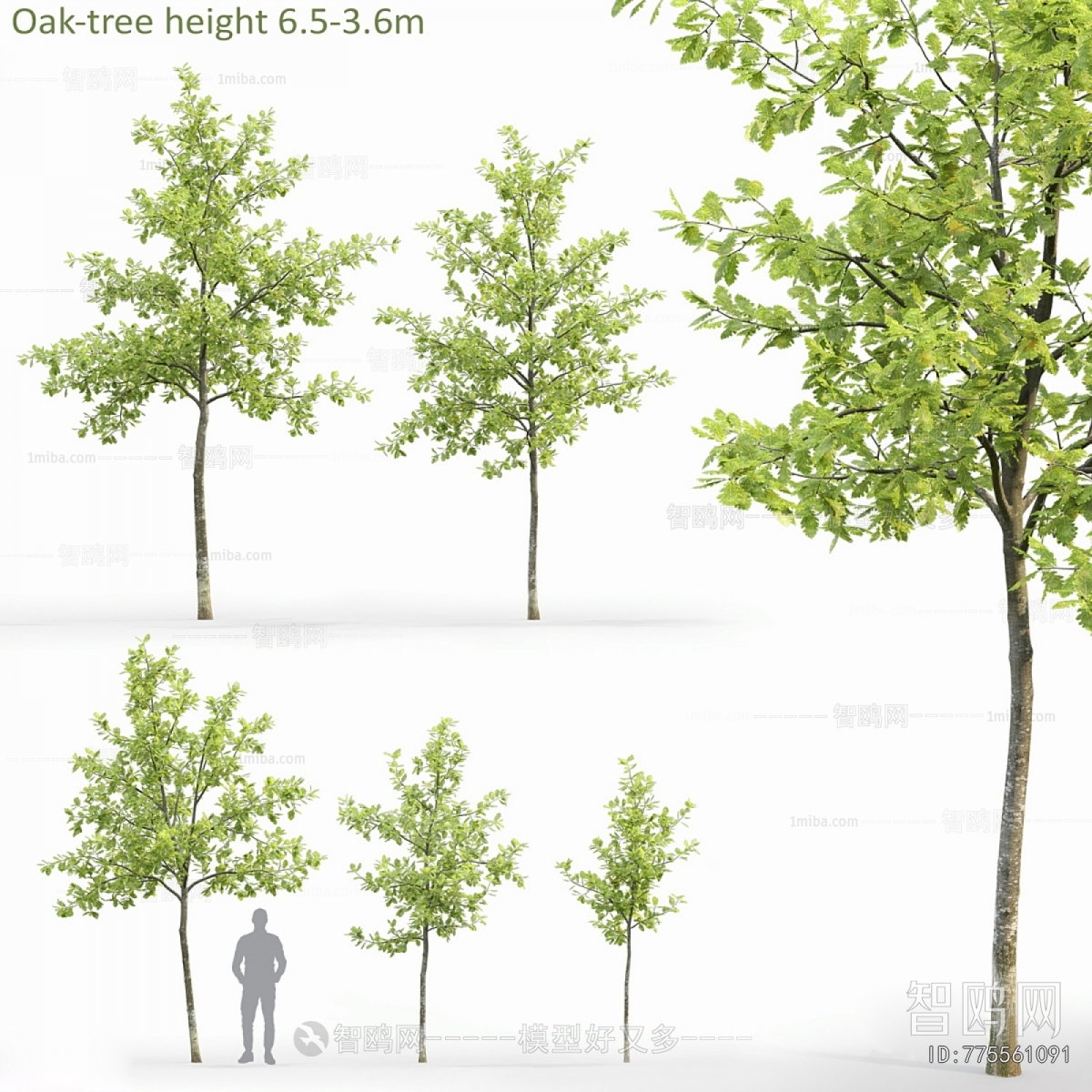Modern Tree