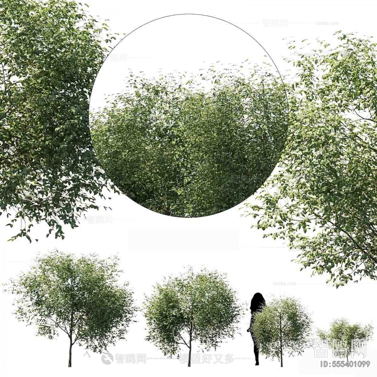 Modern Tree